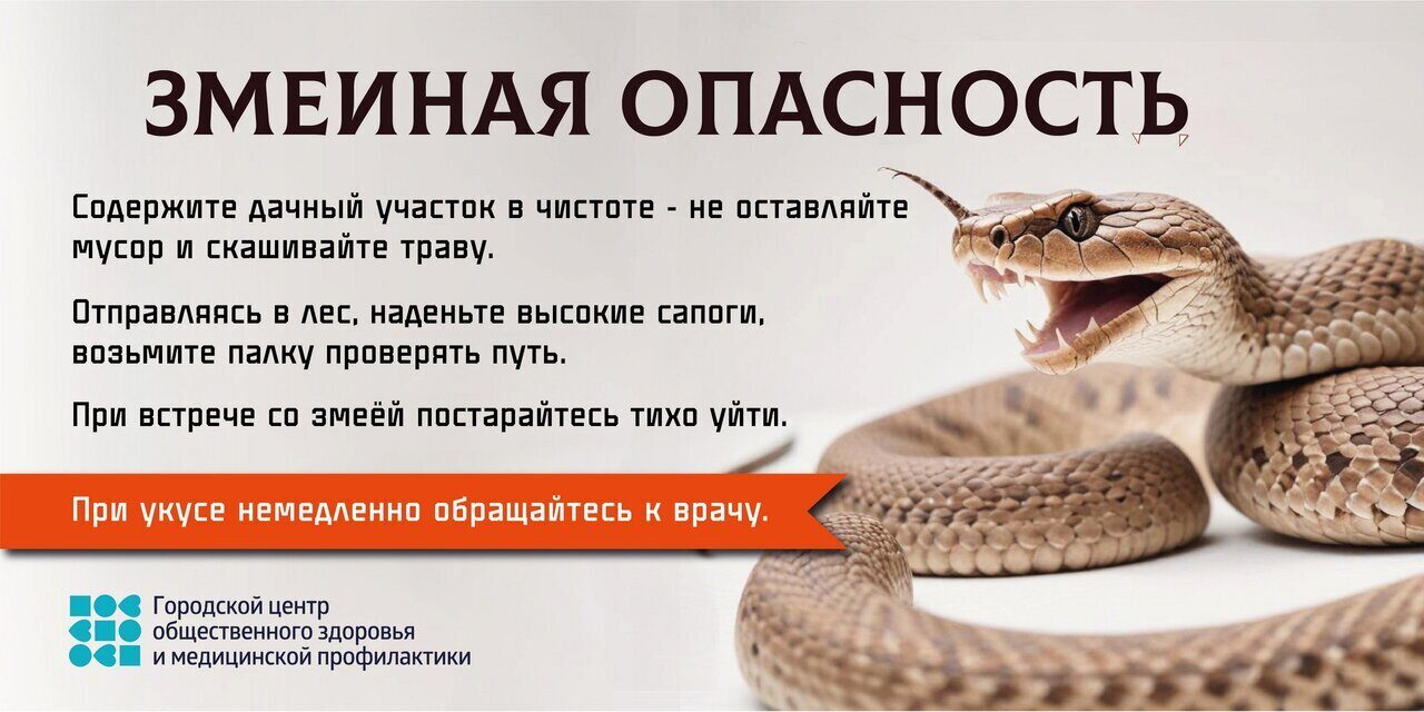 Змеиная опасность (1)